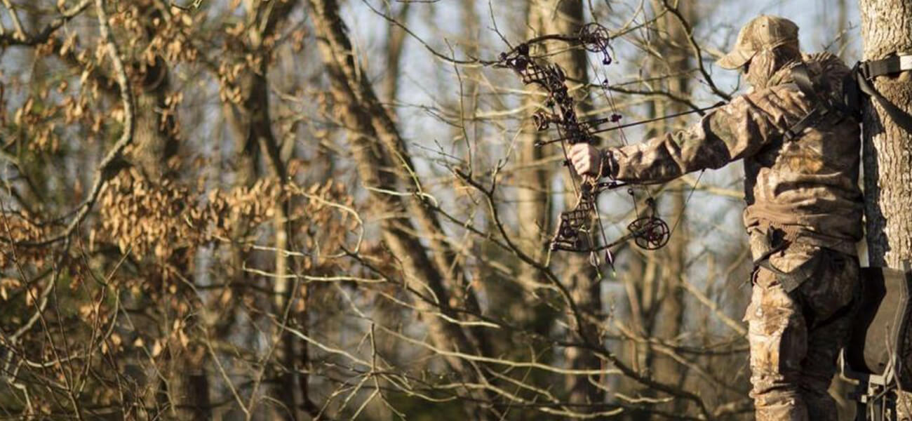 Bow hunting leafless concealment