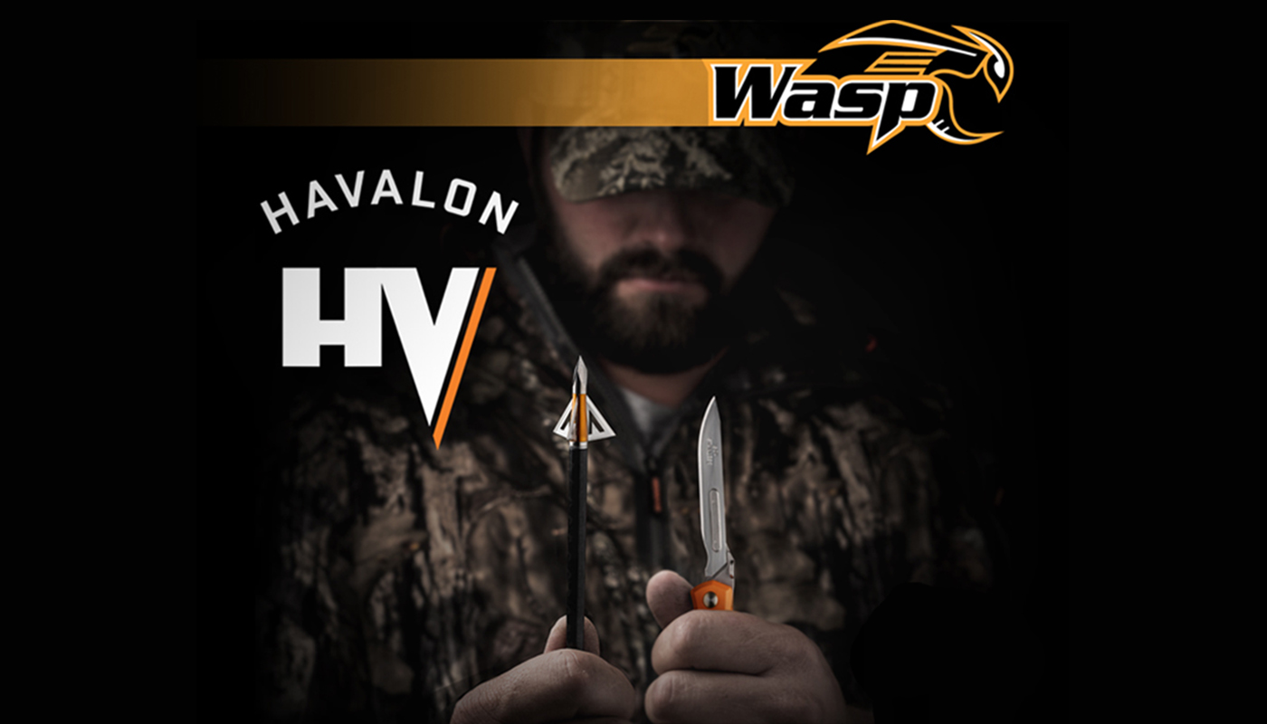 Wasp Havalon HV - Best New Fixed Broadhead