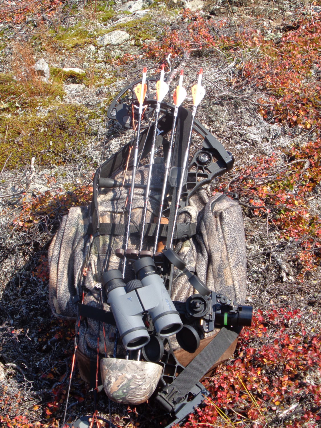 Wasp gear for Greenland hunt